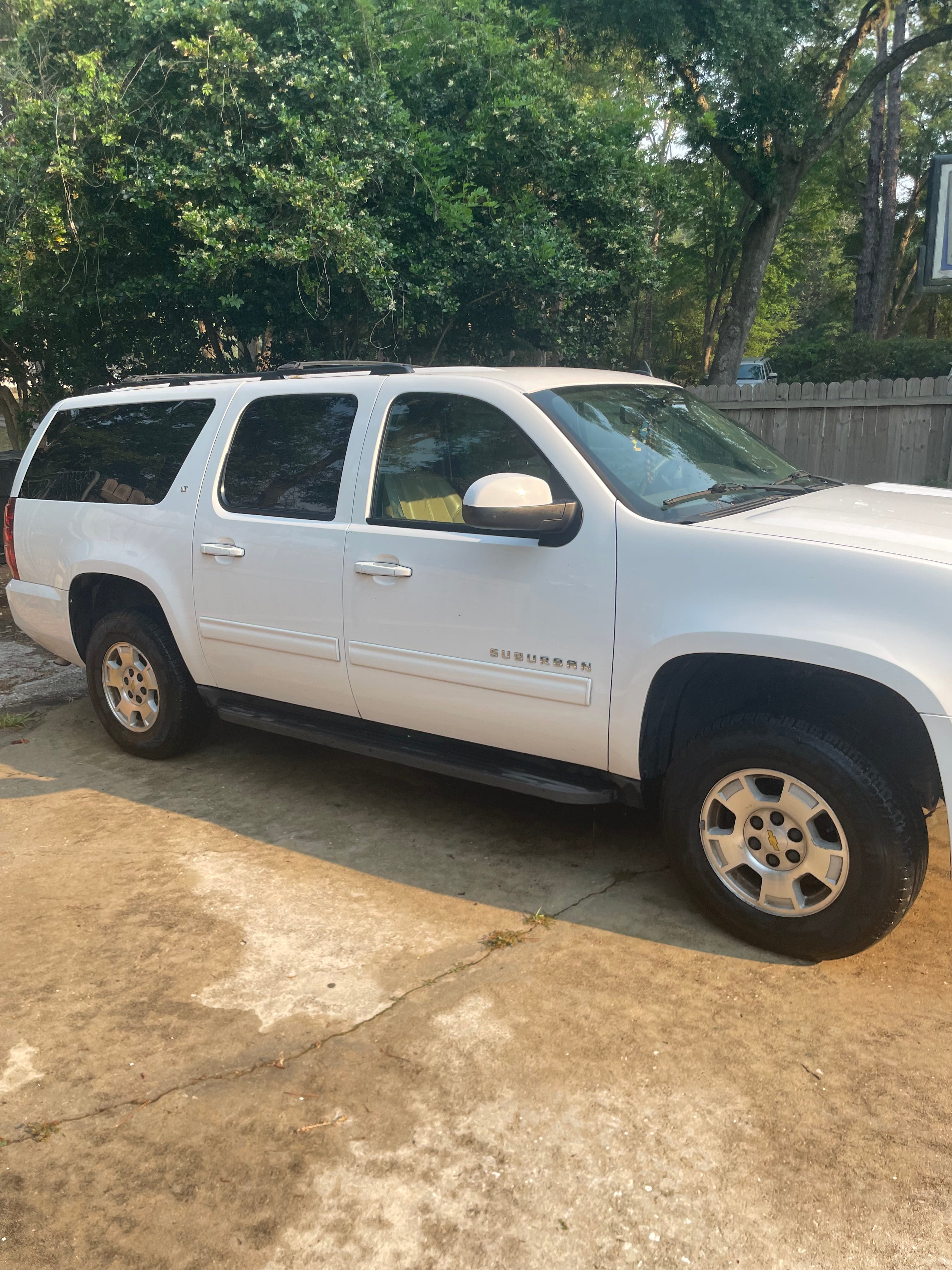 Exterior Vehicle Cleaning